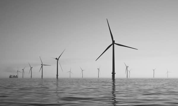An offshore wind farm, turbines receding into sea mist.